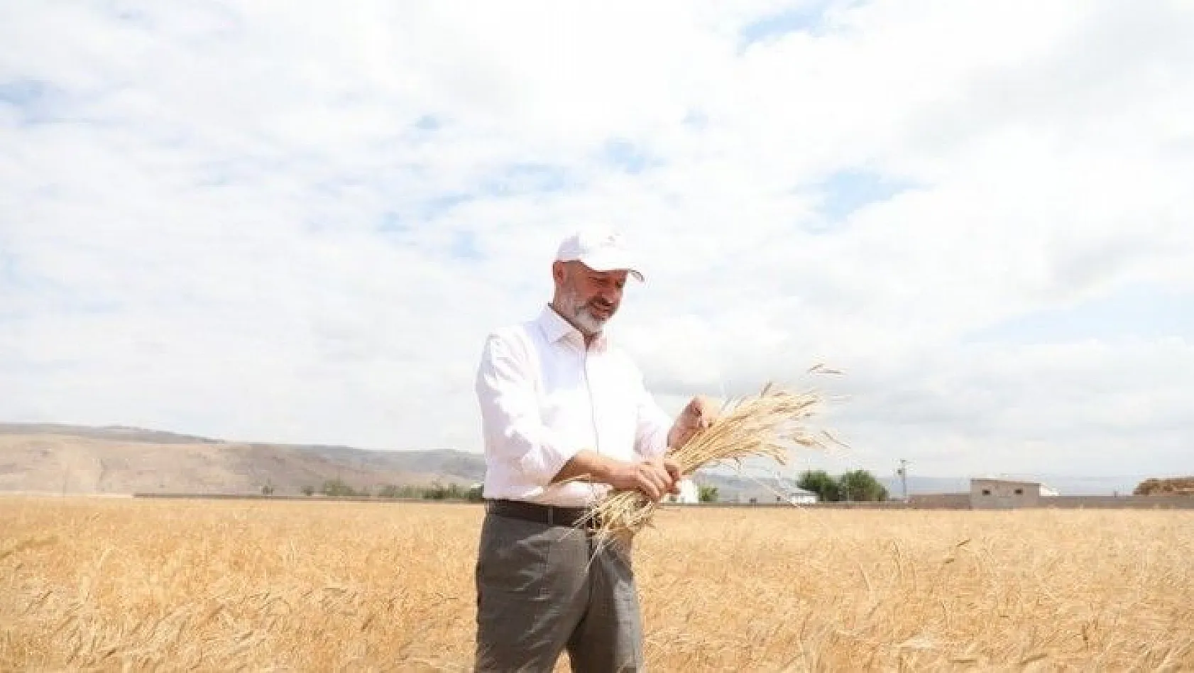 Toprak ve çiftçi dostu Başkan Çolakbayrakdar'ın milli ve yerli tohum hamlesi takdir topladı