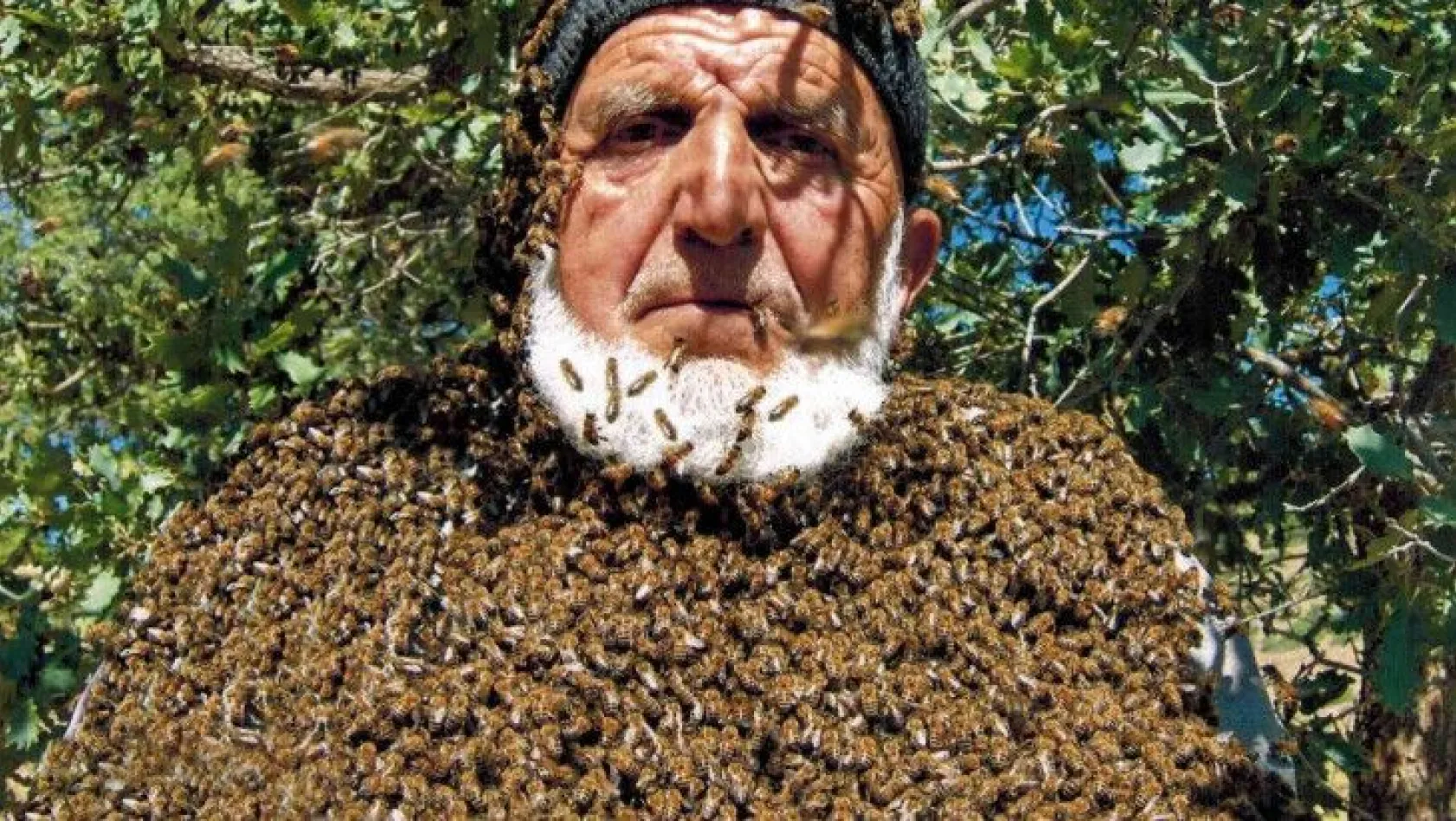 Üzerine 50 bin arı konuyor!