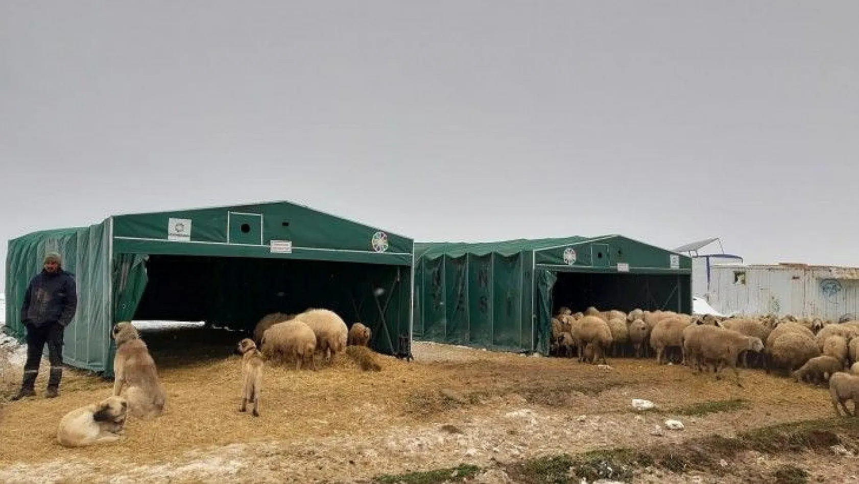 Yaylada mahsur kalan koyuncuların imdadına Kocasinan Belediyesi yetişti