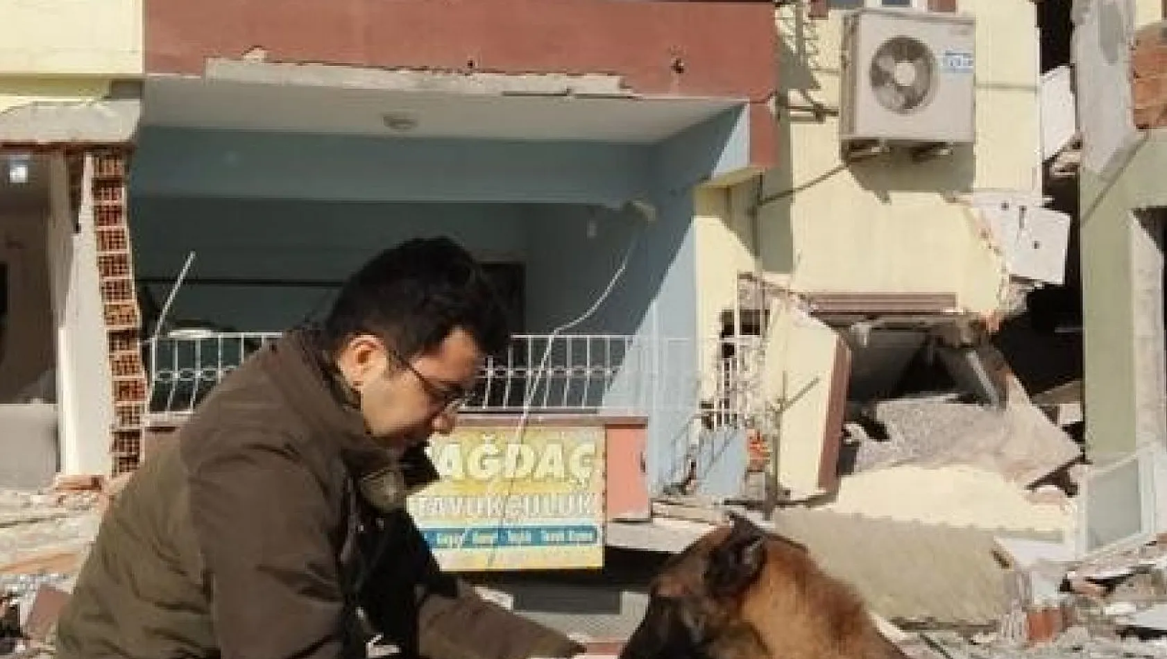 Depremden etkilenen hayvanların yaraları sarılıyor