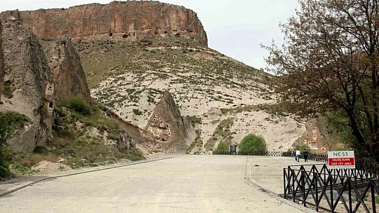 Muhtardan sevindiren haber: Sayı arttı
