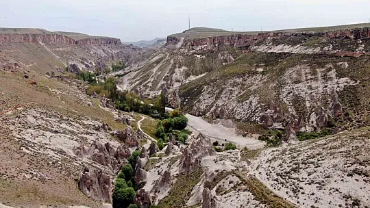 Muhtardan sevindiren haber: Sayı arttı