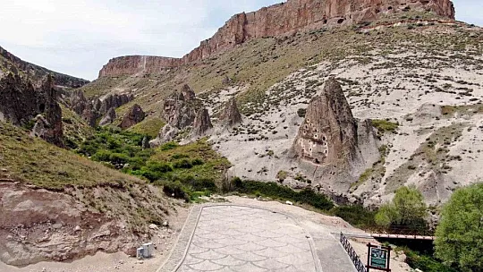 Muhtardan sevindiren haber: Sayı arttı