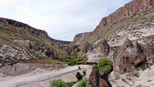 Muhtardan sevindiren haber: Sayı arttı