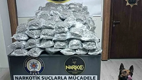 Kayseri'ye sokulamadan ele geçirildi