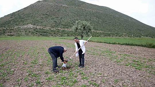 Çiftçiye belediyeden destek