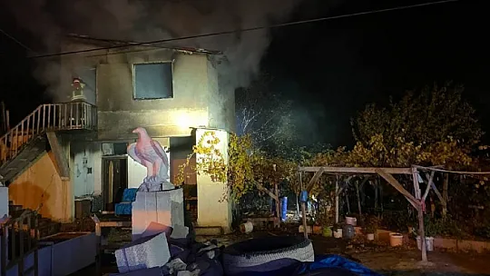 Ev yangında kül oldu!
