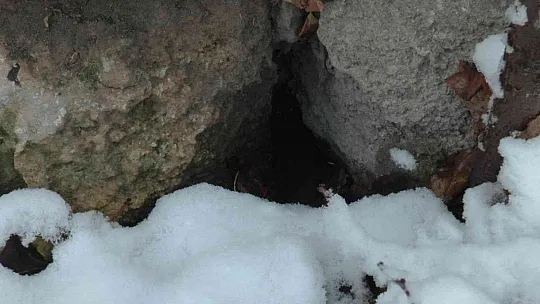 30 yıllık isyan