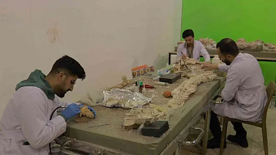 Yamula barajı etrafında 100'e yakın fosil bulundu