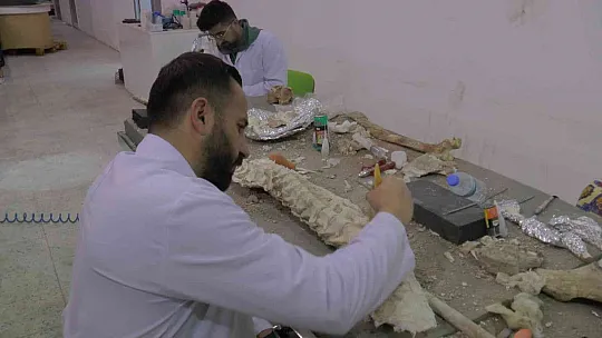 Çalışmalar devam ediyor