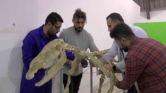 Fosiller ayağa kaldırıldı