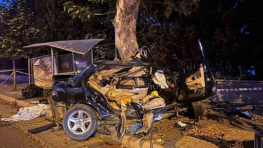 Ağaca çarpıp ikiye bölünen otomobilin sürücüsü öldü