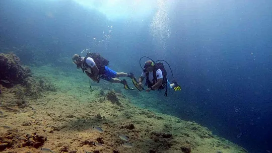 Akdeniz'in su altı dünyasını keşfediyorlar
