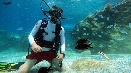 Akdeniz'in su altı dünyasını keşfediyorlar