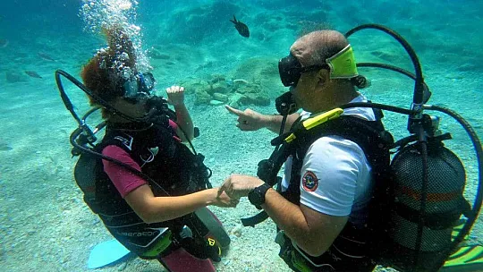 Akdeniz'in su altı dünyasını keşfediyorlar