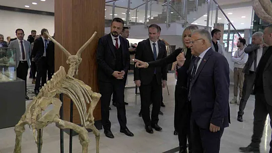 Anadolu'nun en büyük fosil yatağı Kayseri'de