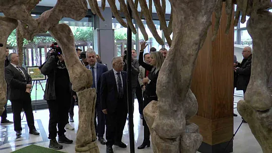 Anadolu'nun en büyük fosil yatağı Kayseri'de