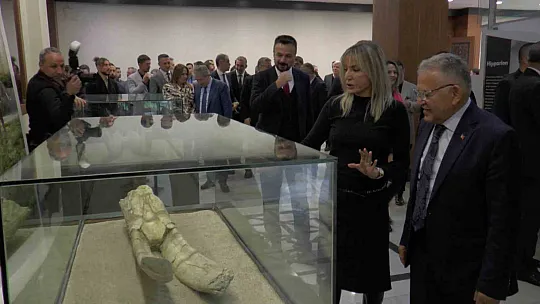 Anadolu'nun en büyük fosil yatağı Kayseri'de