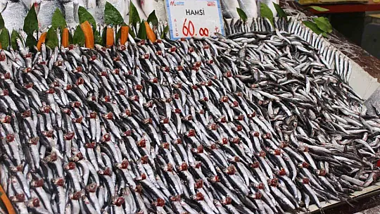 Kayseri'de balık tezgahlarında en çok rağbet gören balık hangisi?