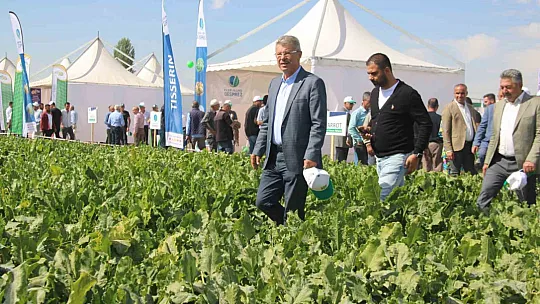 Şeker pancarı fiyatı belli oluyor, 'Mağdur etmeyeceğiz'