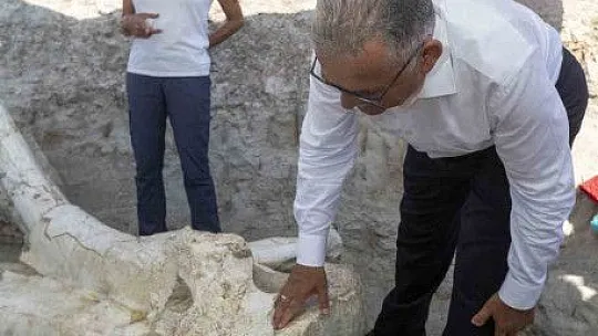 10 noktada kazı çalışması! Peki ne aranıyor?