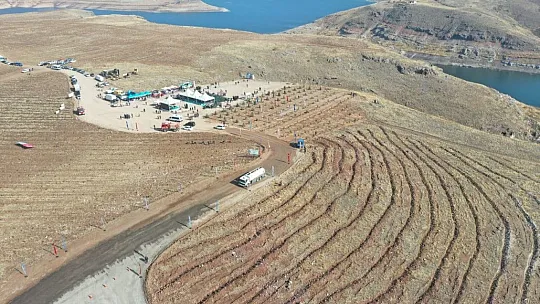 Çolakbayrakdar: Bu yıl, 126 binden fazla ağacı toprakla buluşturduk