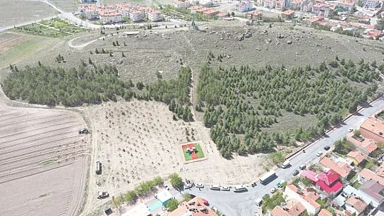 Çolakbayrakdar: Bu yıl, 126 binden fazla ağacı toprakla buluşturduk