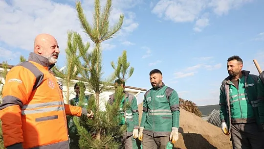 Çolakbayrakdar: Kocasinan'da yemyeşil bir bahar olacak!