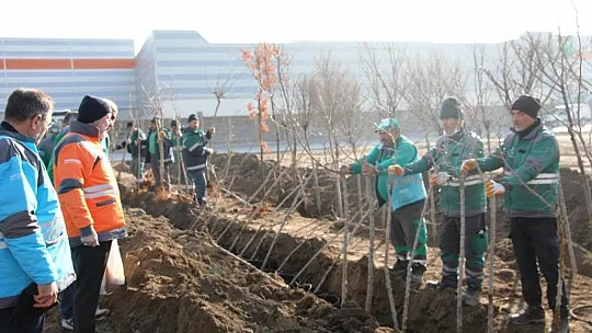 Çolakbayrakdar: Kocasinan'da yemyeşil bir bahar olacak!