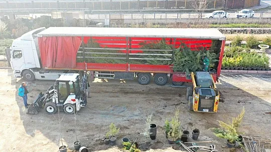 Çolakbayrakdar: Kocasinan'da yemyeşil bir bahar olacak!