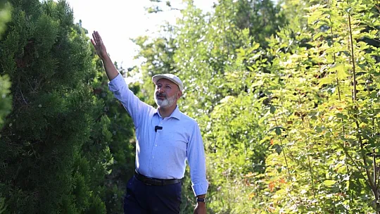 Başkan Çolakbayrakdar: 'Yeşil ve daha yeşil bir Kayseri için çalışıyoruz'