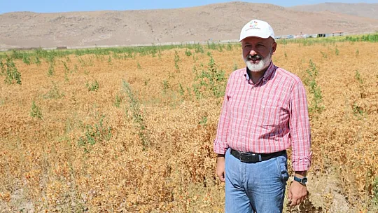 Başkan Çolakbayrakdar, ekimini yaptığı aspirin hasadını da kendisi yaptı