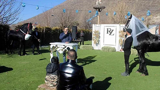 Böyle düğün görülmedi