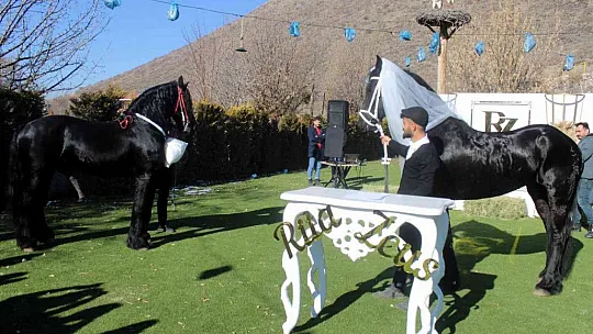 Böyle düğün görülmedi