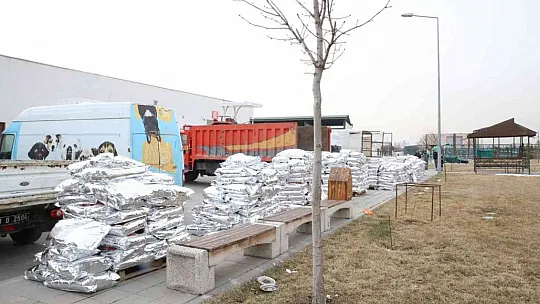 Bin 570 sahipsiz sokak hayvanı sahiplendirildi