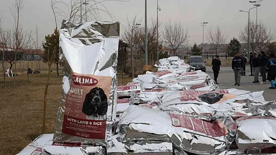 Bin 570 sahipsiz sokak hayvanı sahiplendirildi