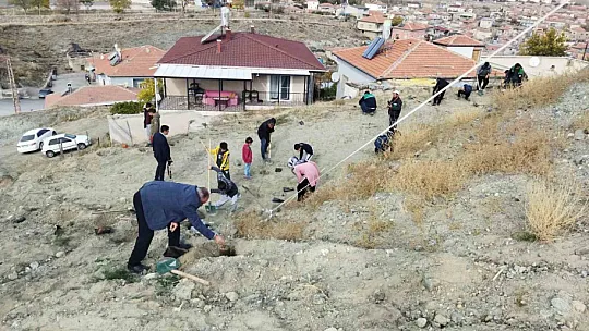 Yeşilhisar yeşillendi