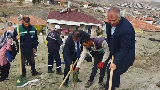 Yeşilhisar yeşillendi