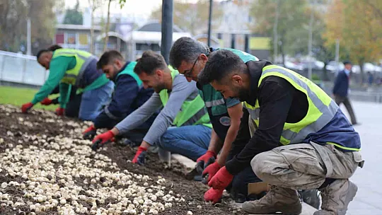 Kayseri'ye 2 milyon 240 bin çiçek dikildi