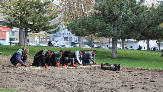 Kayseri'ye 2 milyon 240 bin çiçek dikildi