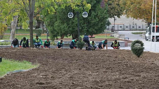 Kayseri'ye 2 milyon 240 bin çiçek dikildi