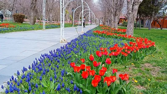 Kayseri'ye 2 milyon 240 bin çiçek dikildi