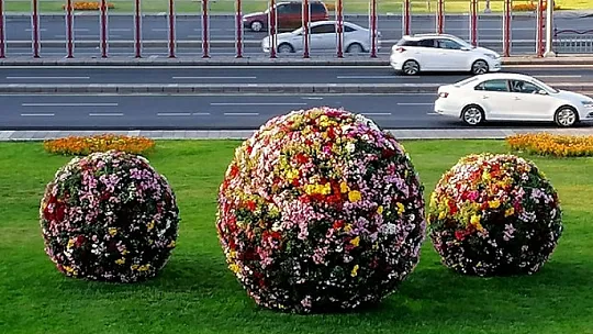 Kayseri'ye 2 milyon 240 bin çiçek dikildi