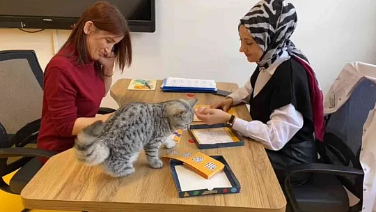 Engelsiz Yaşam Merkezi'nin yeni üyesi 'Şeker'