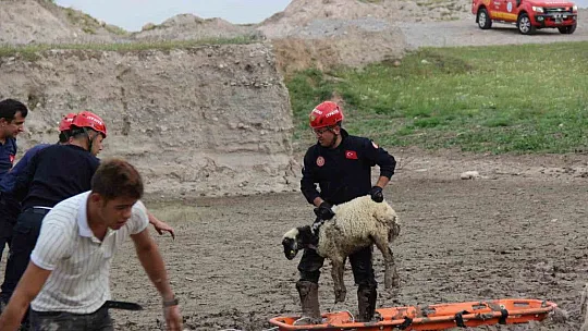 Bataklığa saplanmışlardı! Bakın nasıl kurtarıldılar?