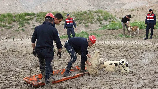 Bataklığa saplanmışlardı! Bakın nasıl kurtarıldılar?