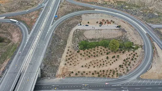 2 Bin 752 Ağaç taşınıyor...