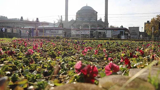 Büyükşehir, Peyzaj Çalışmaları İle Kent Estetiğini Artırıyor