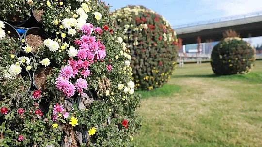 Büyükşehir, Peyzaj Çalışmaları İle Kent Estetiğini Artırıyor