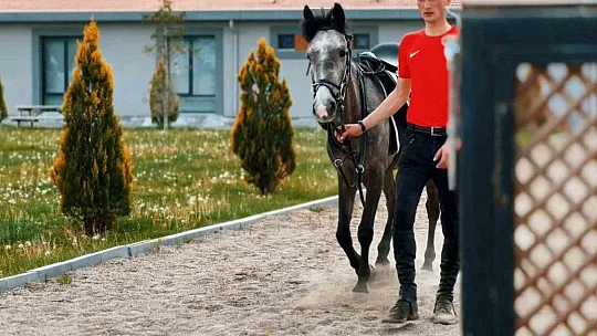 Büyükşehir'den Atlı Tur Hizmeti...